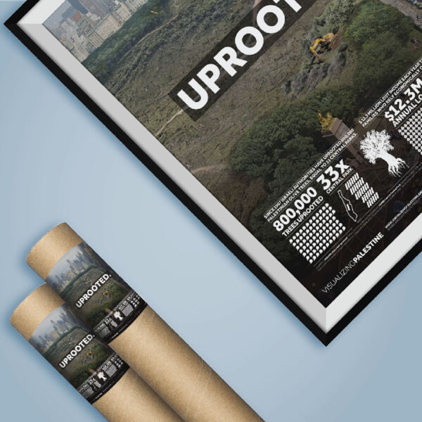 Visualizing Palestine Posters Thumbnail