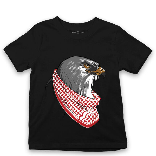 Jordan Falcon Thumbnail