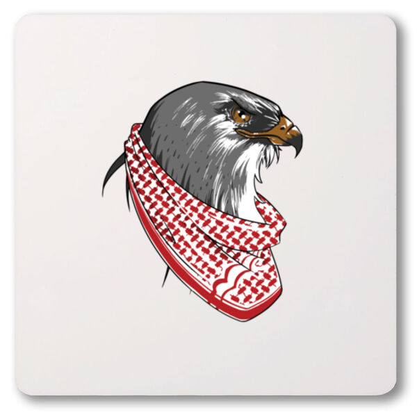 Jordan Falcon Thumbnail