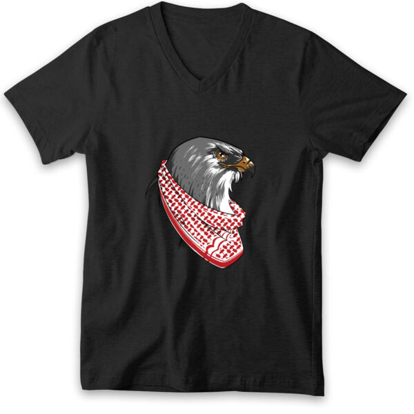 Jordan falcon V-neck Tshirt Thumbnail