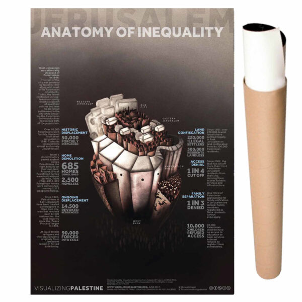 POSTER ANATOMY OF INEQUALITY ENG  Thumbnail