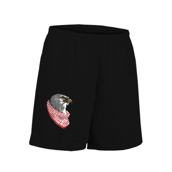 Jordan Falcon Kids Shorts Thumbnail