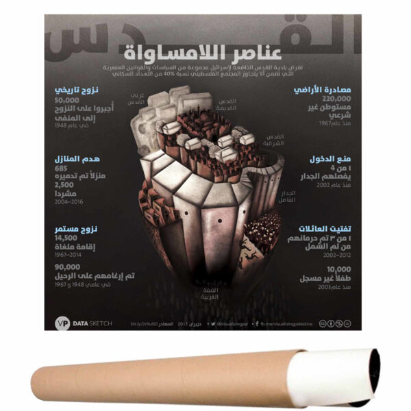 POSTER ANATOMY OF INEQUALITY ARABIC Thumbnail