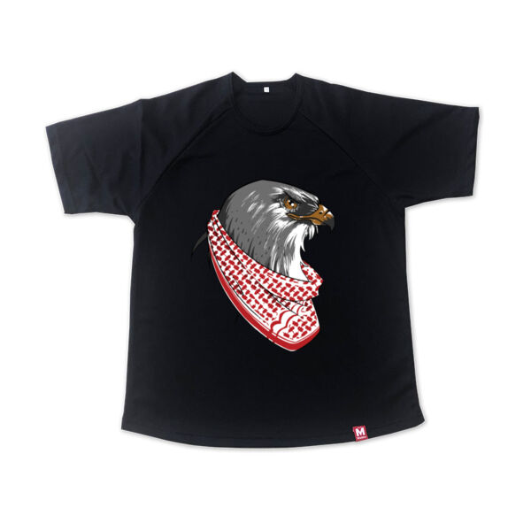 Jordan falcon Tshirt Thumbnail