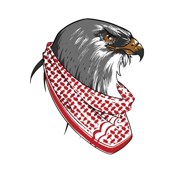 Jordan falcon wearing hatta -  by Ammar Bazadough Thumbnail