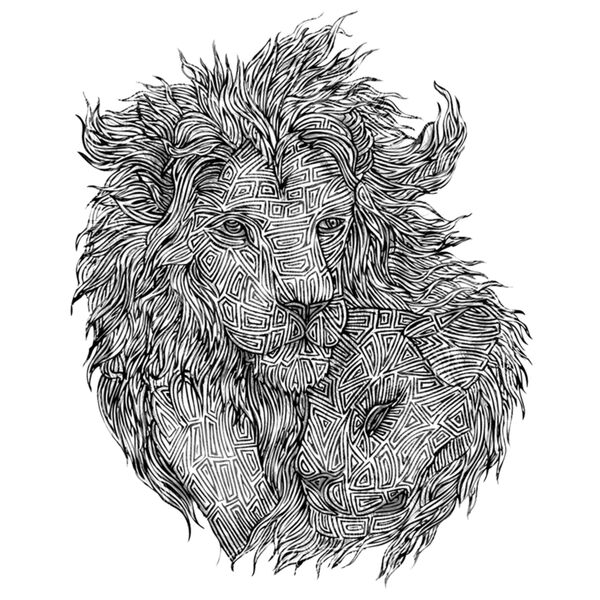 Yassir Doodle 1 Thumbnail