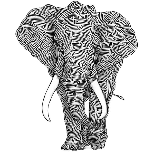 Yassir Doodle 10 Thumbnail