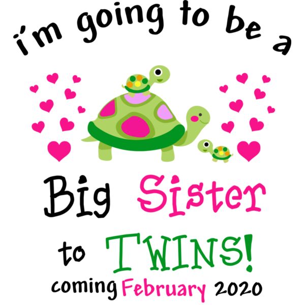 I'm Going To Be A Big Sister To Twins Turtle Thumbnail