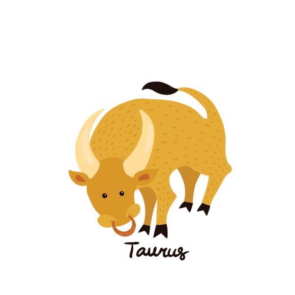 Taurus Thumbnail