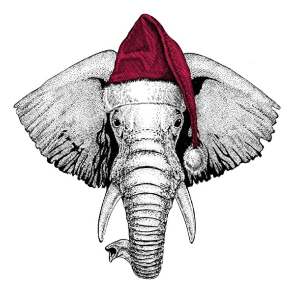 Elephant With Christmas Hat Thumbnail