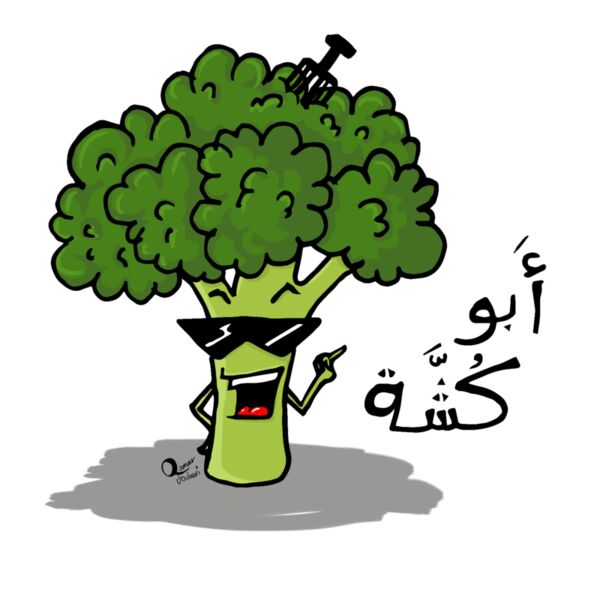 Abu Koshe - by Qamar Al Jouhari Thumbnail