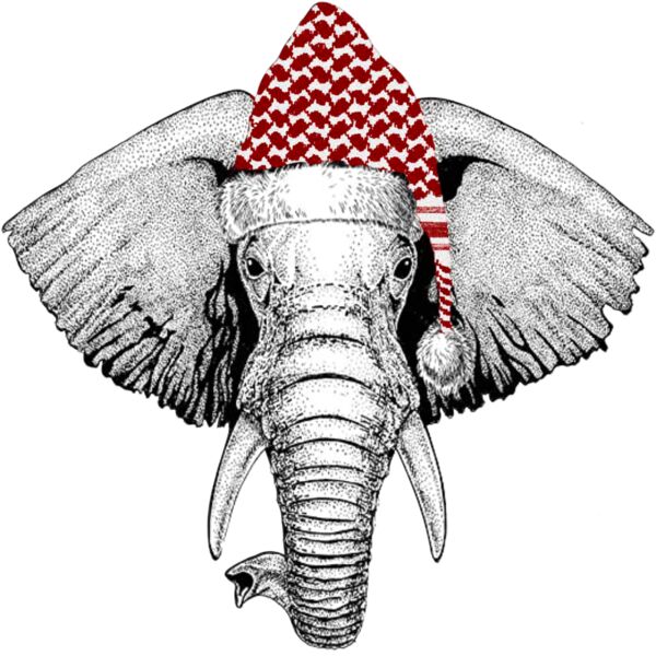Elephant Wearing Shmagh Christmas Hat Thumbnail