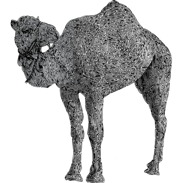 Camel Doodles Thumbnail