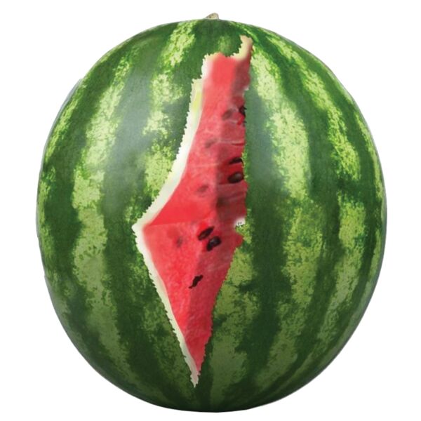 Palestine Map Watermelon Thumbnail