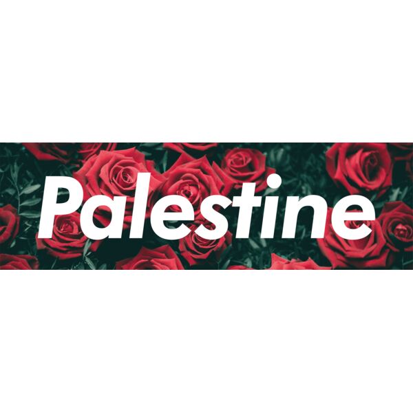 Palestine Thumbnail