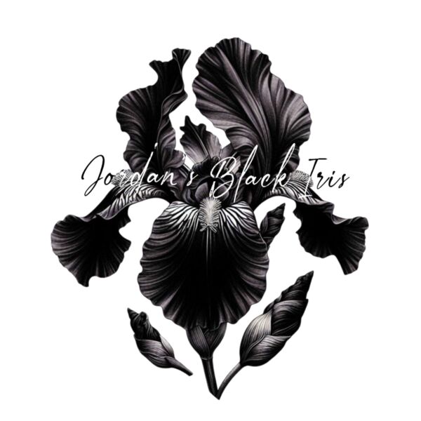 Black Iris Thumbnail